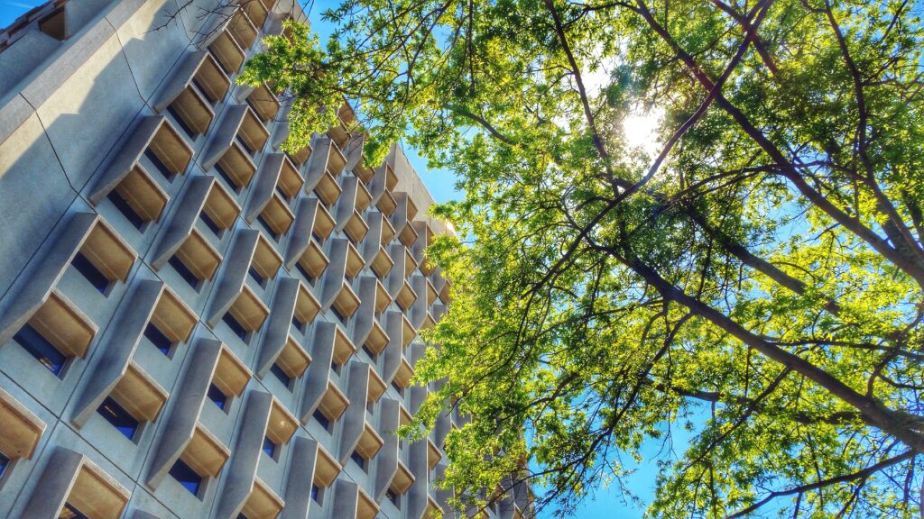 Illustrasjonsbilde bærekraft